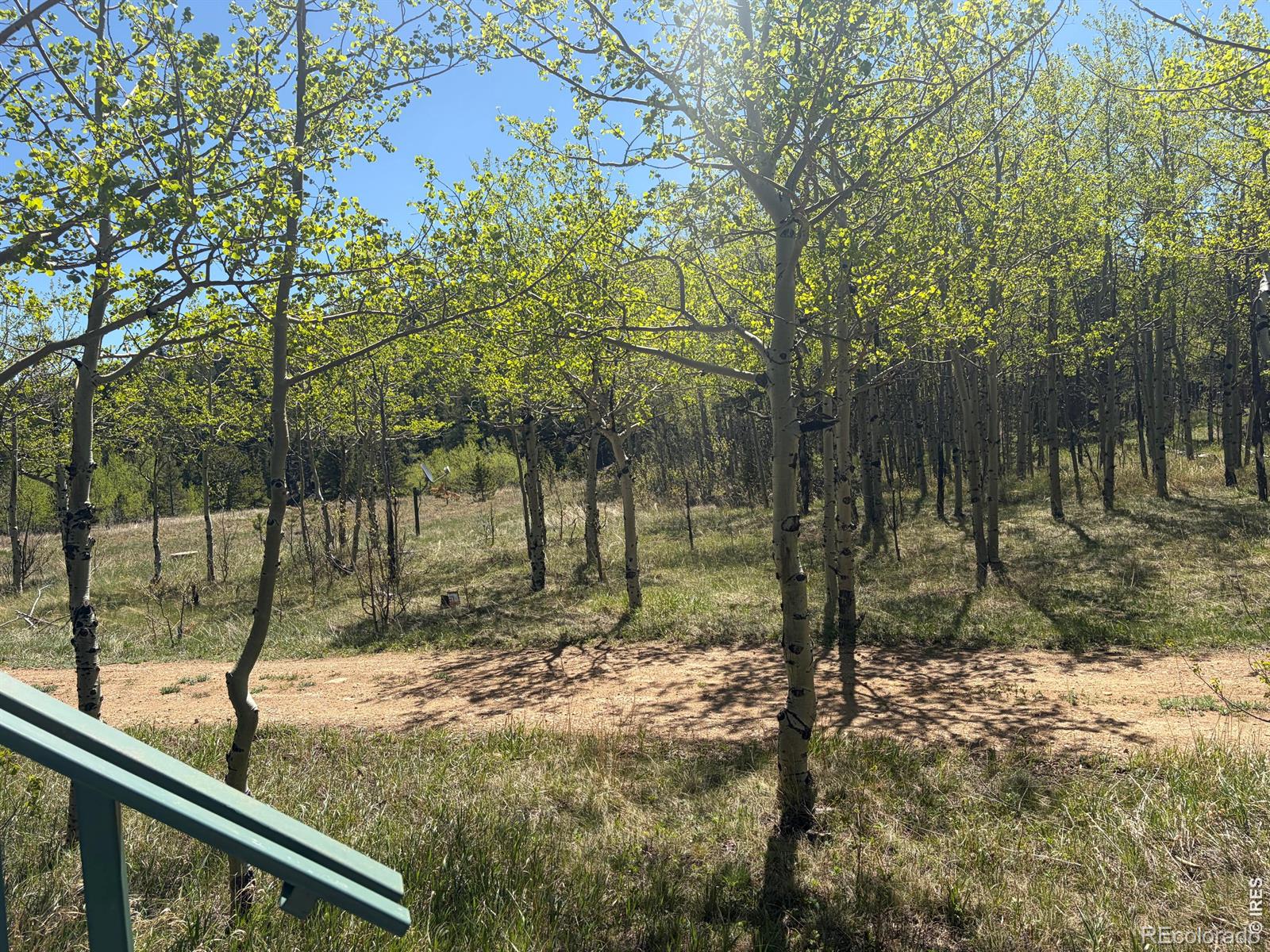 MLS Image #11 for 625  pine cone circle,ward, Colorado
