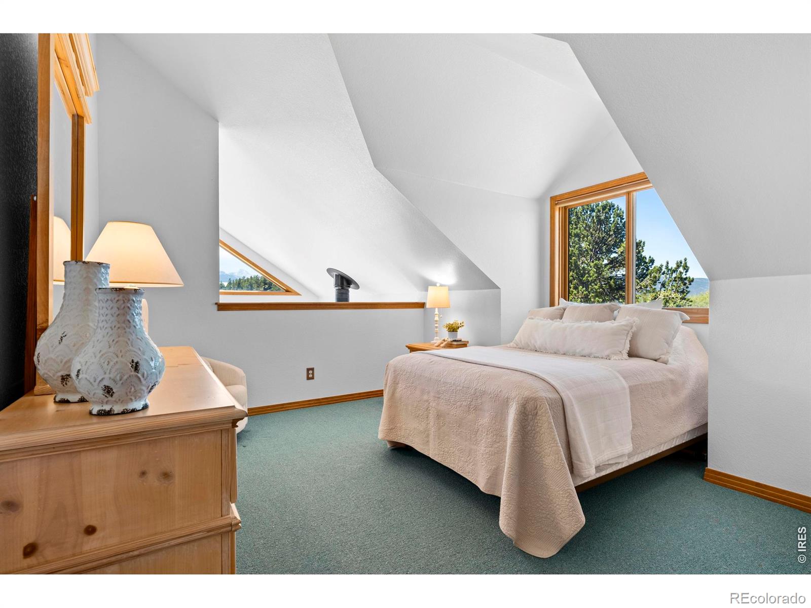 MLS Image #18 for 625  pine cone circle,ward, Colorado