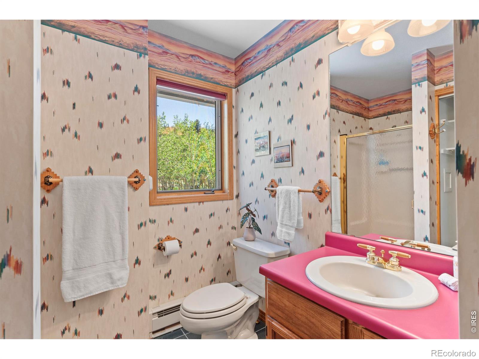 MLS Image #21 for 625  pine cone circle,ward, Colorado