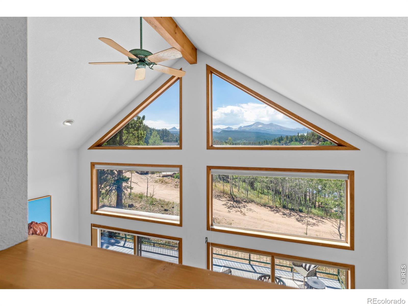 MLS Image #25 for 625  pine cone circle,ward, Colorado