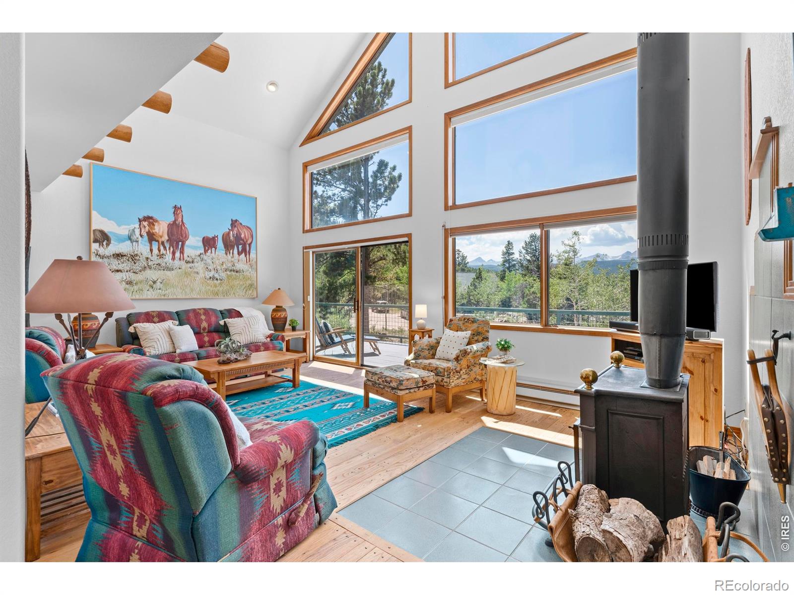 MLS Image #4 for 625  pine cone circle,ward, Colorado