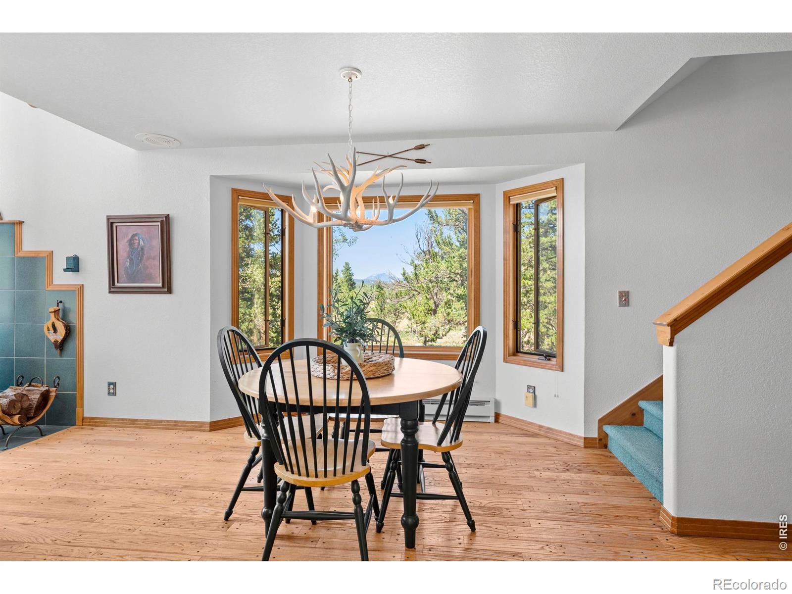 MLS Image #6 for 625  pine cone circle,ward, Colorado