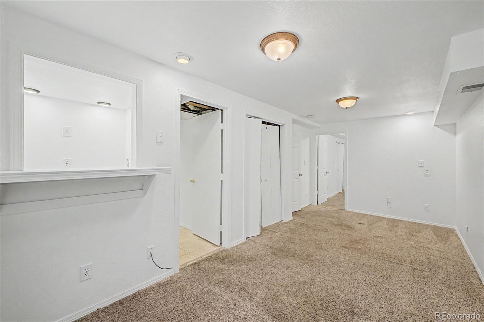 MLS Image #18 for 4602  malaya street,denver, Colorado