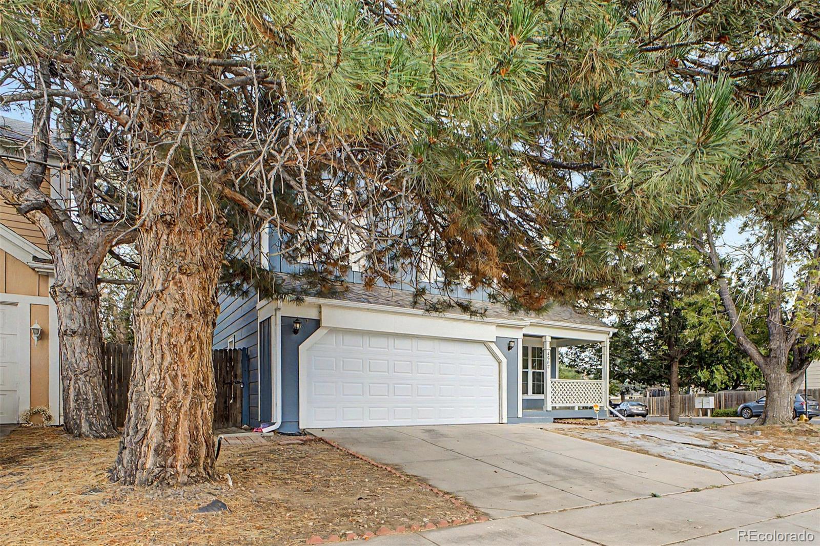 MLS Image #3 for 4602  malaya street,denver, Colorado