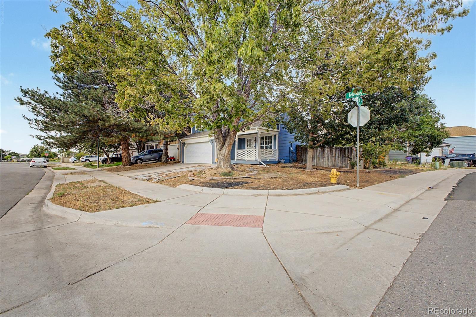 MLS Image #4 for 4602  malaya street,denver, Colorado