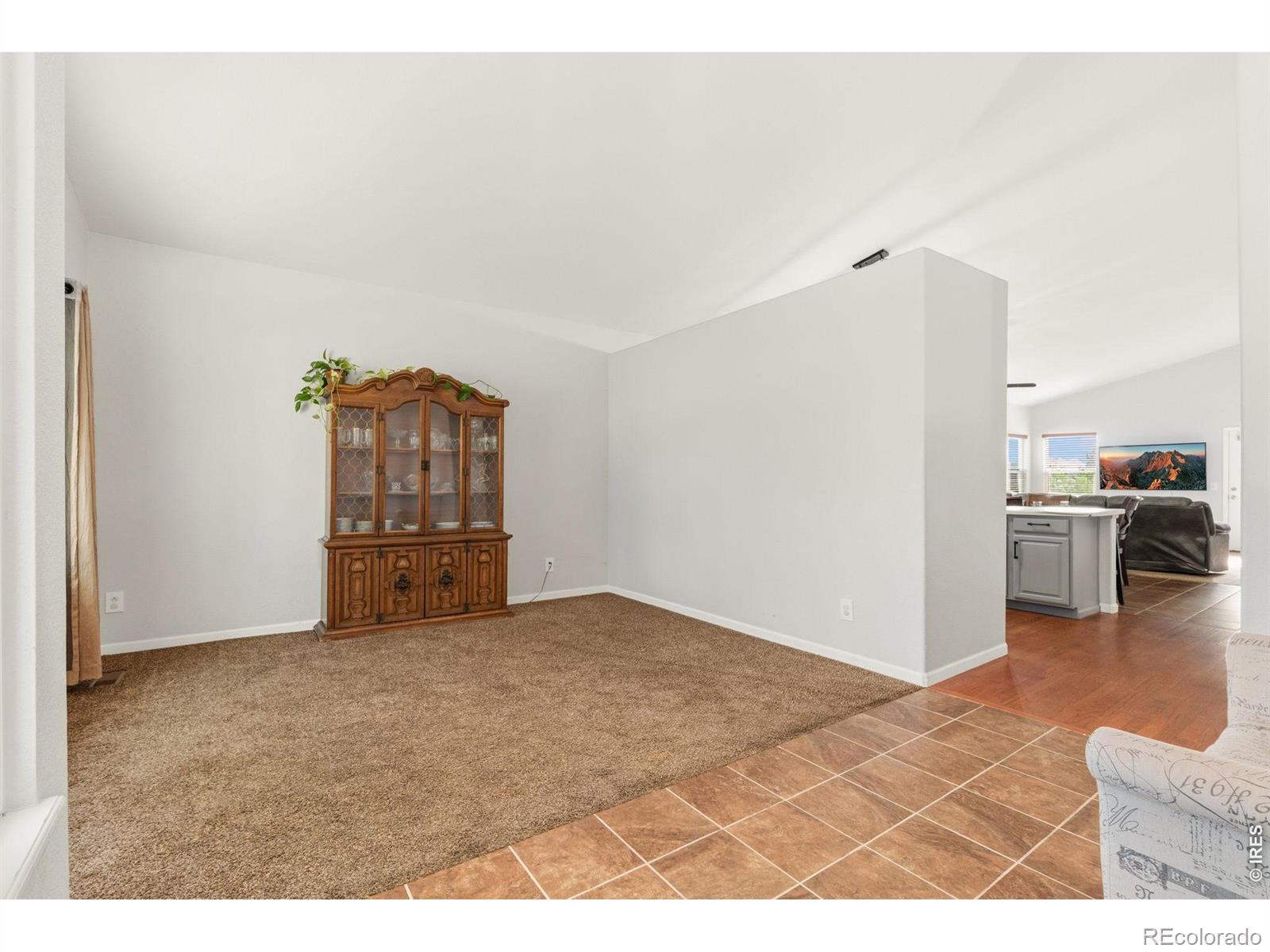 MLS Image #5 for 12300  locust street,brighton, Colorado