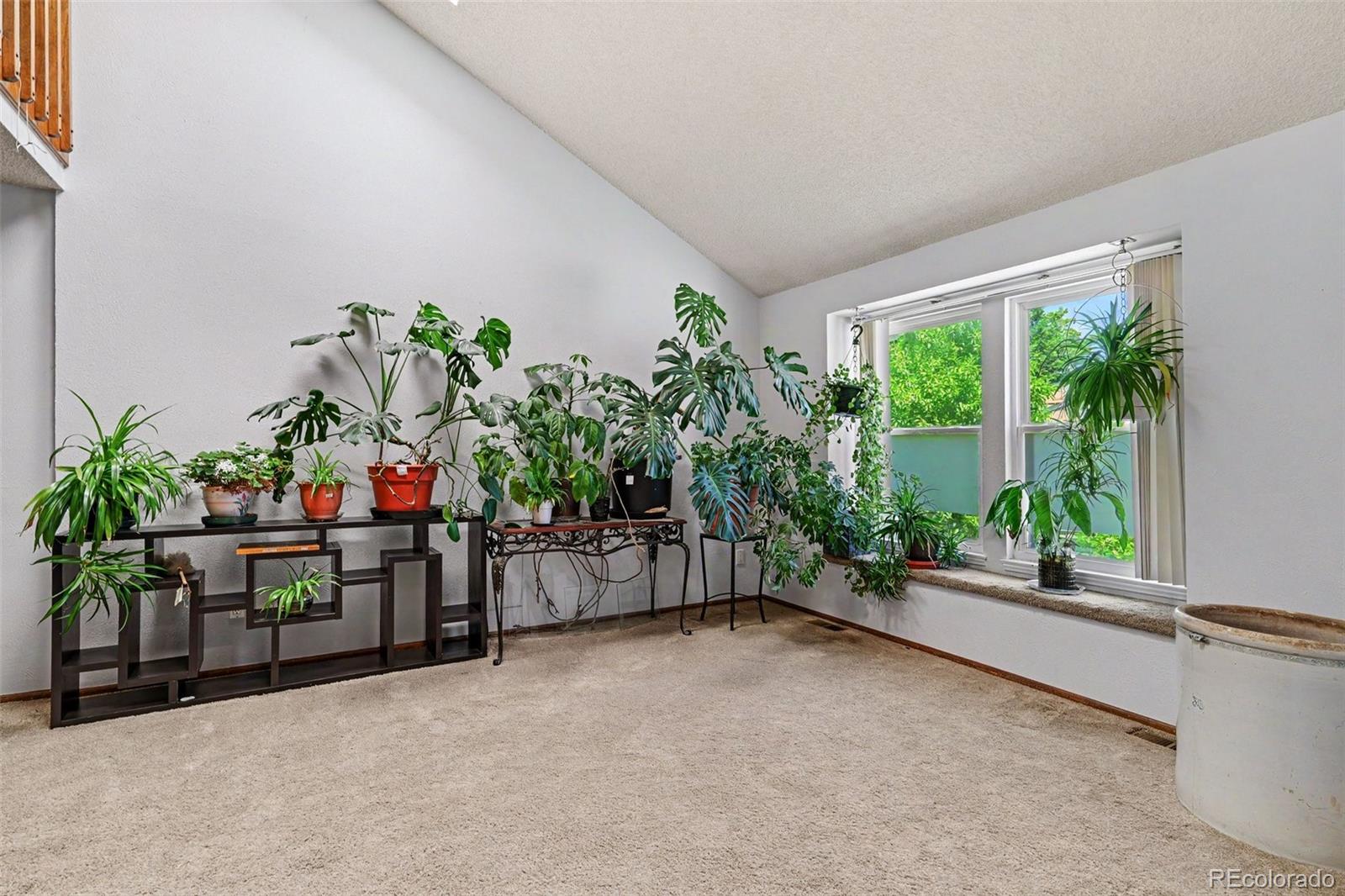 MLS Image #2 for 7309 s mount holy cross ,littleton, Colorado