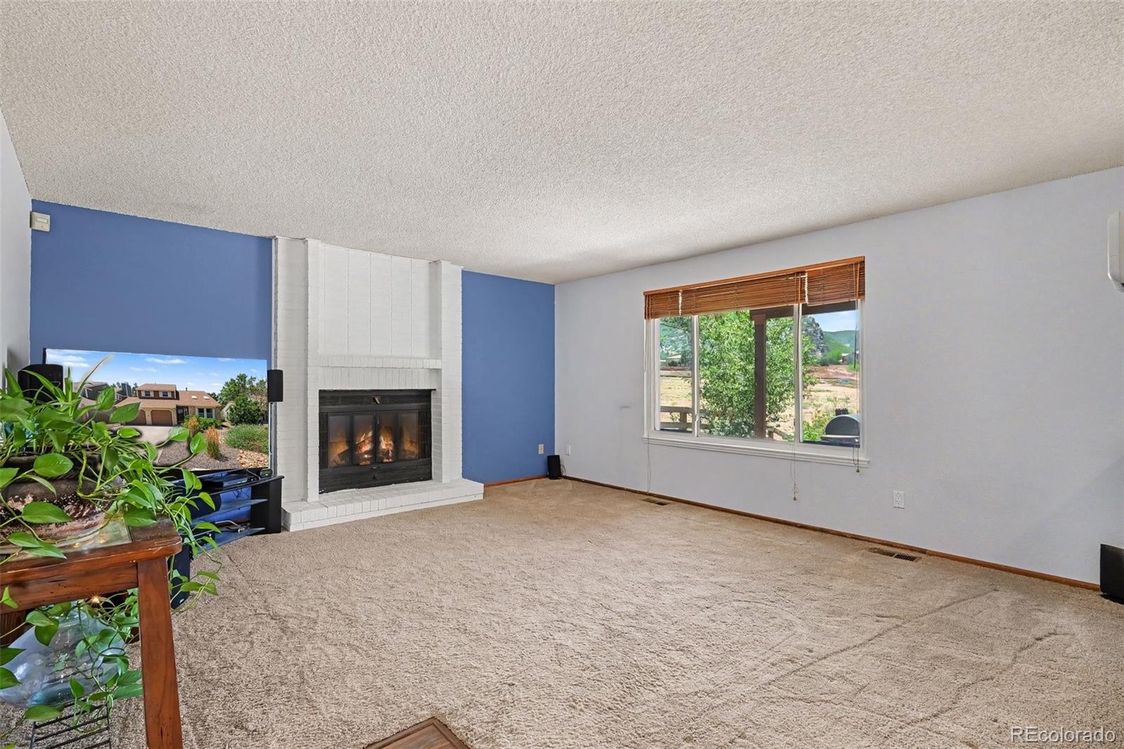MLS Image #4 for 7309 s mount holy cross ,littleton, Colorado