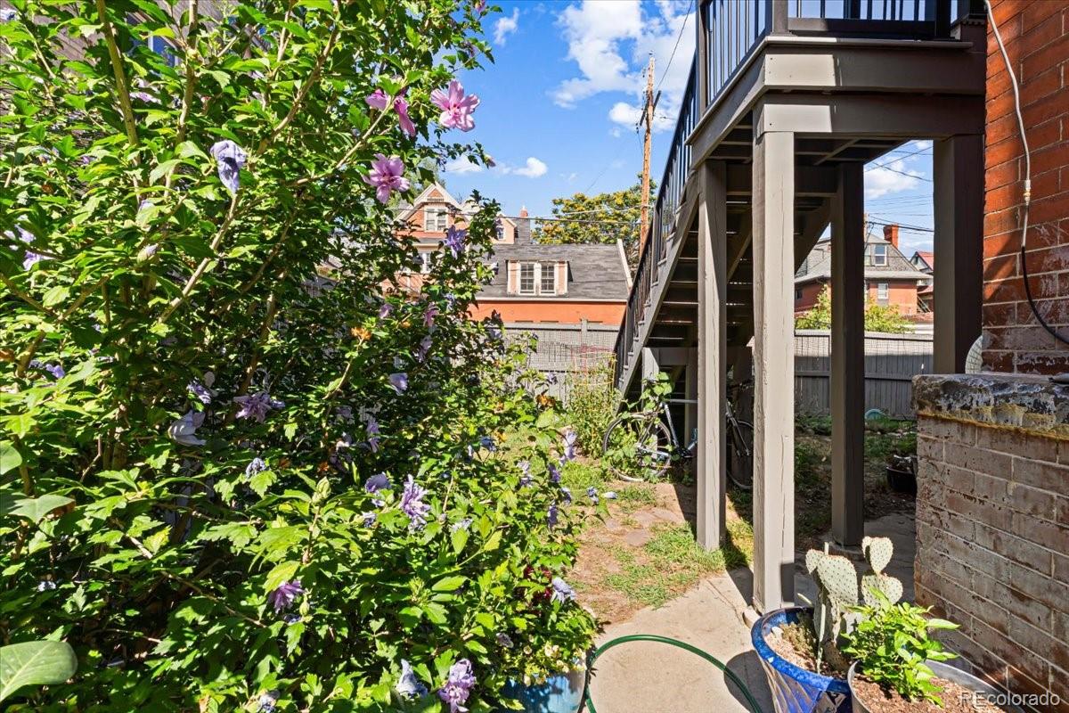 MLS Image #28 for 841 n emerson street 3,denver, Colorado