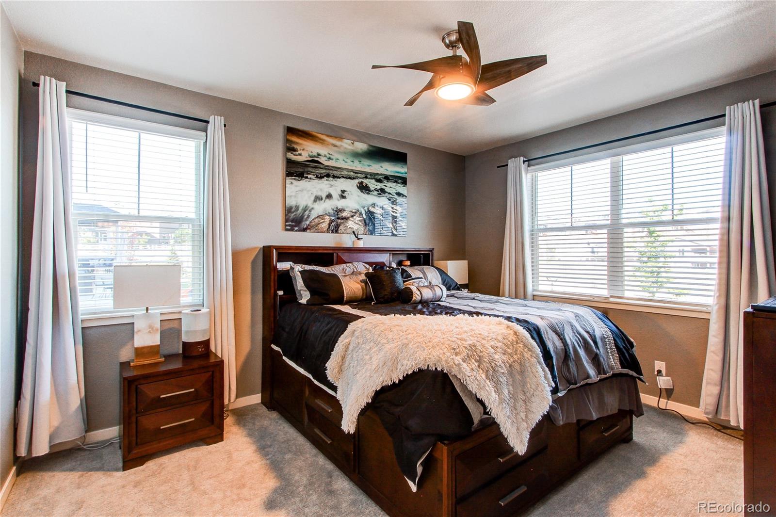 MLS Image #13 for 2227  rosette lane,castle rock, Colorado