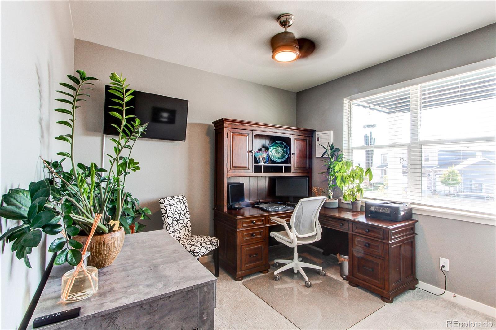 MLS Image #21 for 2227  rosette lane,castle rock, Colorado