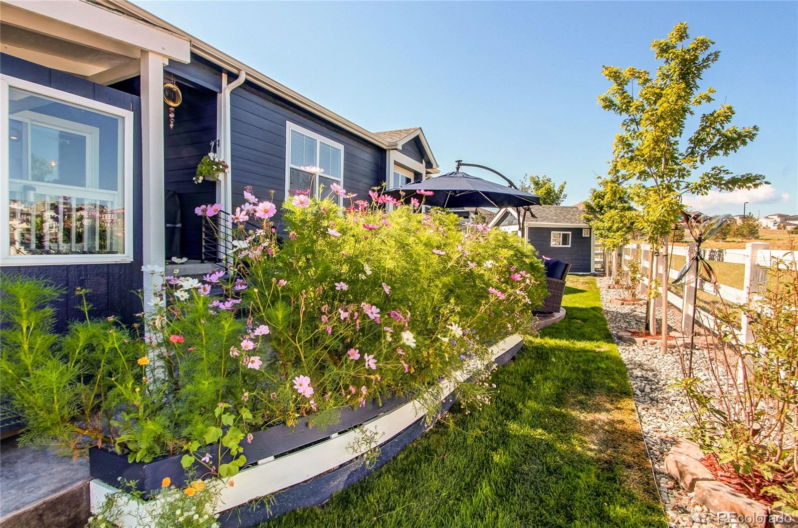 MLS Image #42 for 2227  rosette lane,castle rock, Colorado