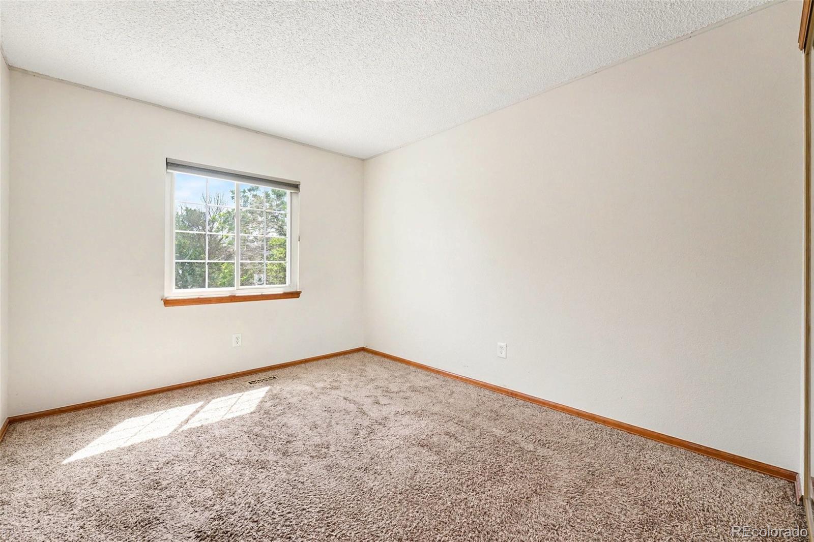MLS Image #13 for 11507  wray court,parker, Colorado