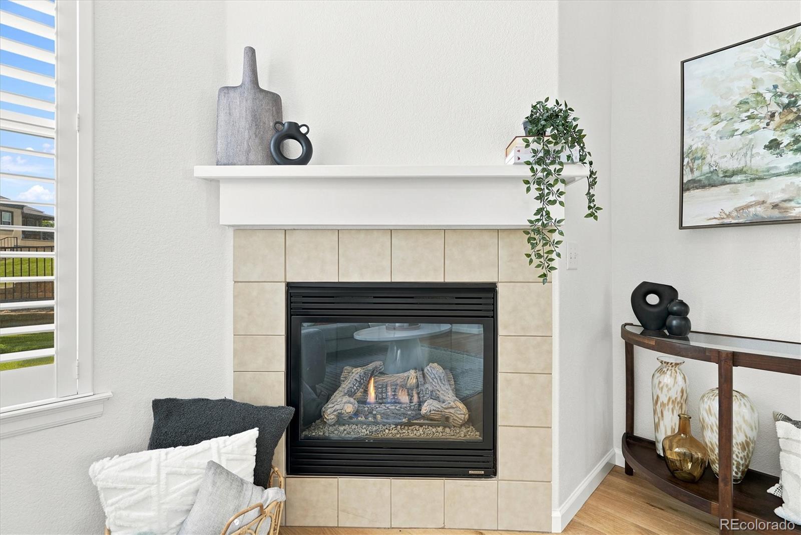 MLS Image #8 for 485  elmhurst way c,highlands ranch, Colorado