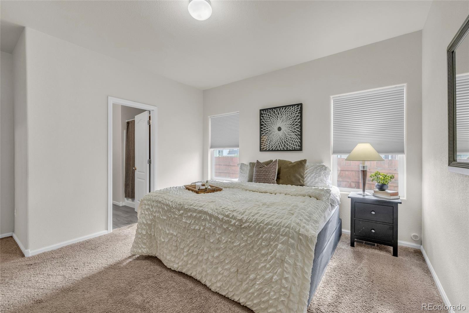 MLS Image #18 for 1677  taos street,brighton, Colorado