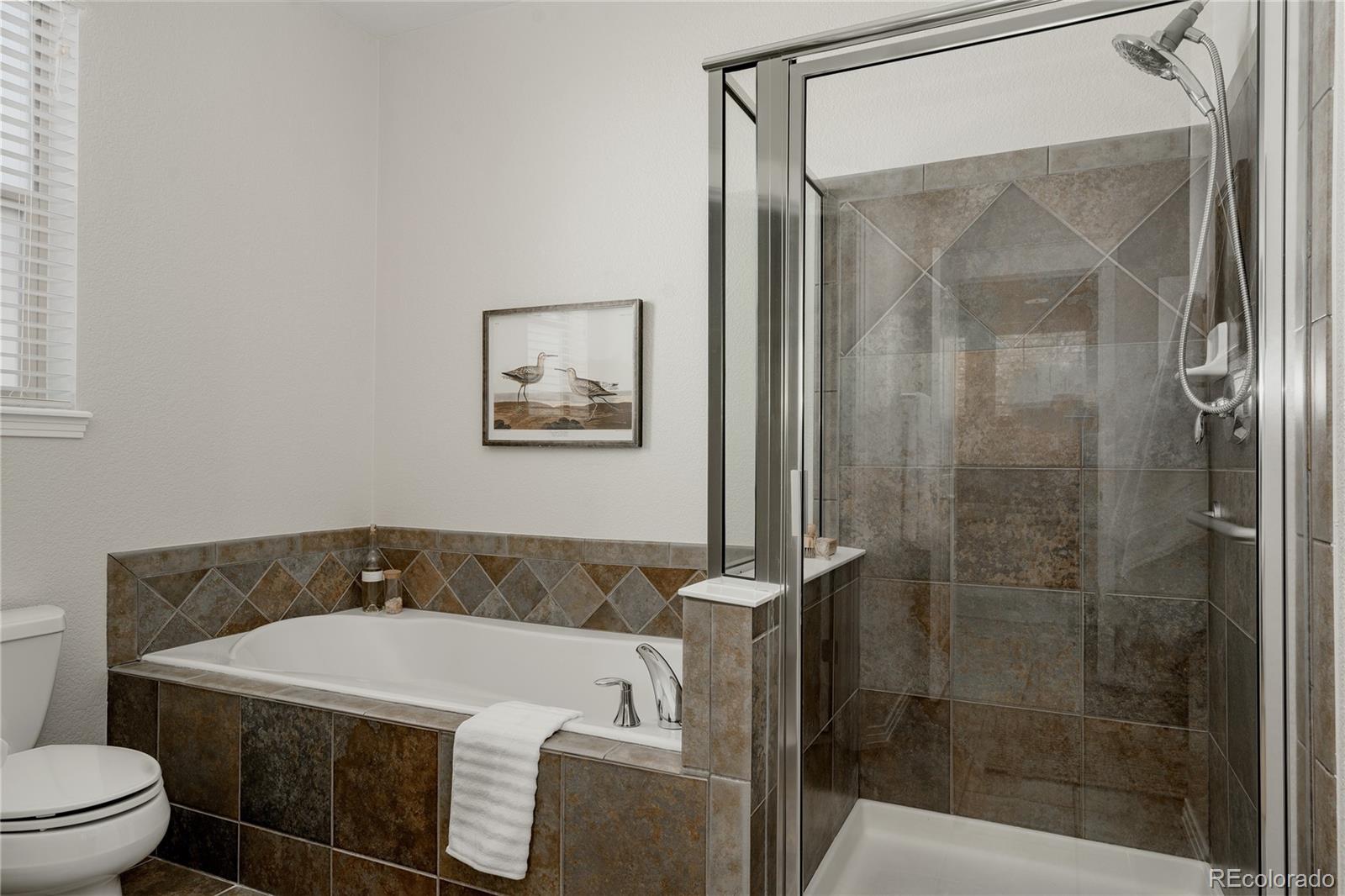 MLS Image #22 for 3364  wabash street,denver, Colorado