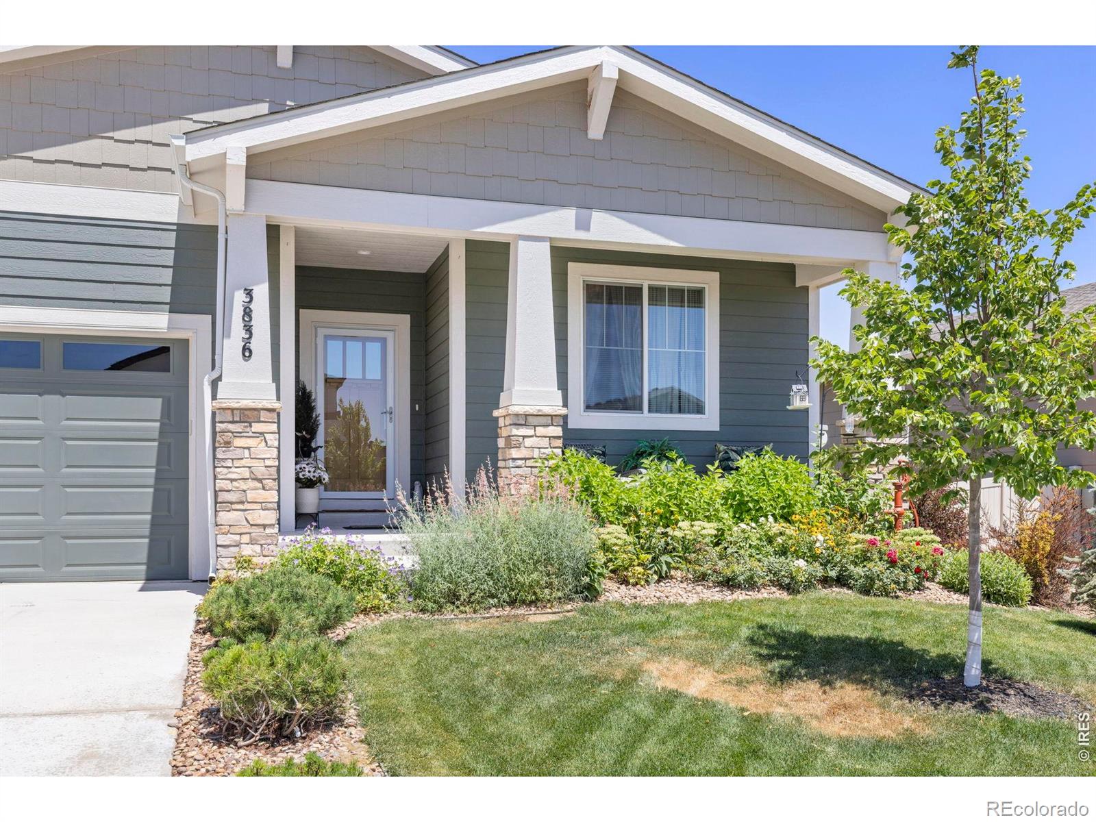 MLS Image #4 for 3836  sweetgum street,wellington, Colorado