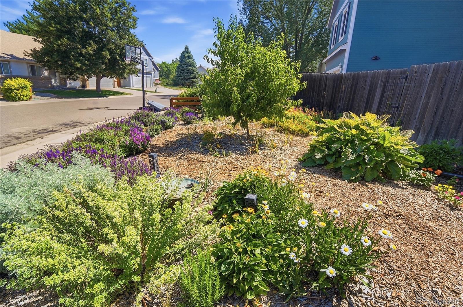 MLS Image #30 for 5438 s union court,littleton, Colorado