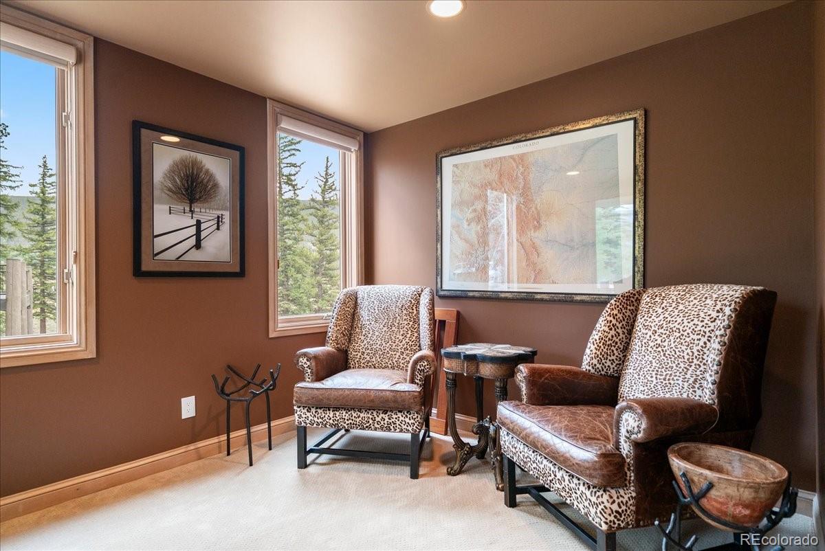 MLS Image #25 for 1116  penstemon road,keystone, Colorado