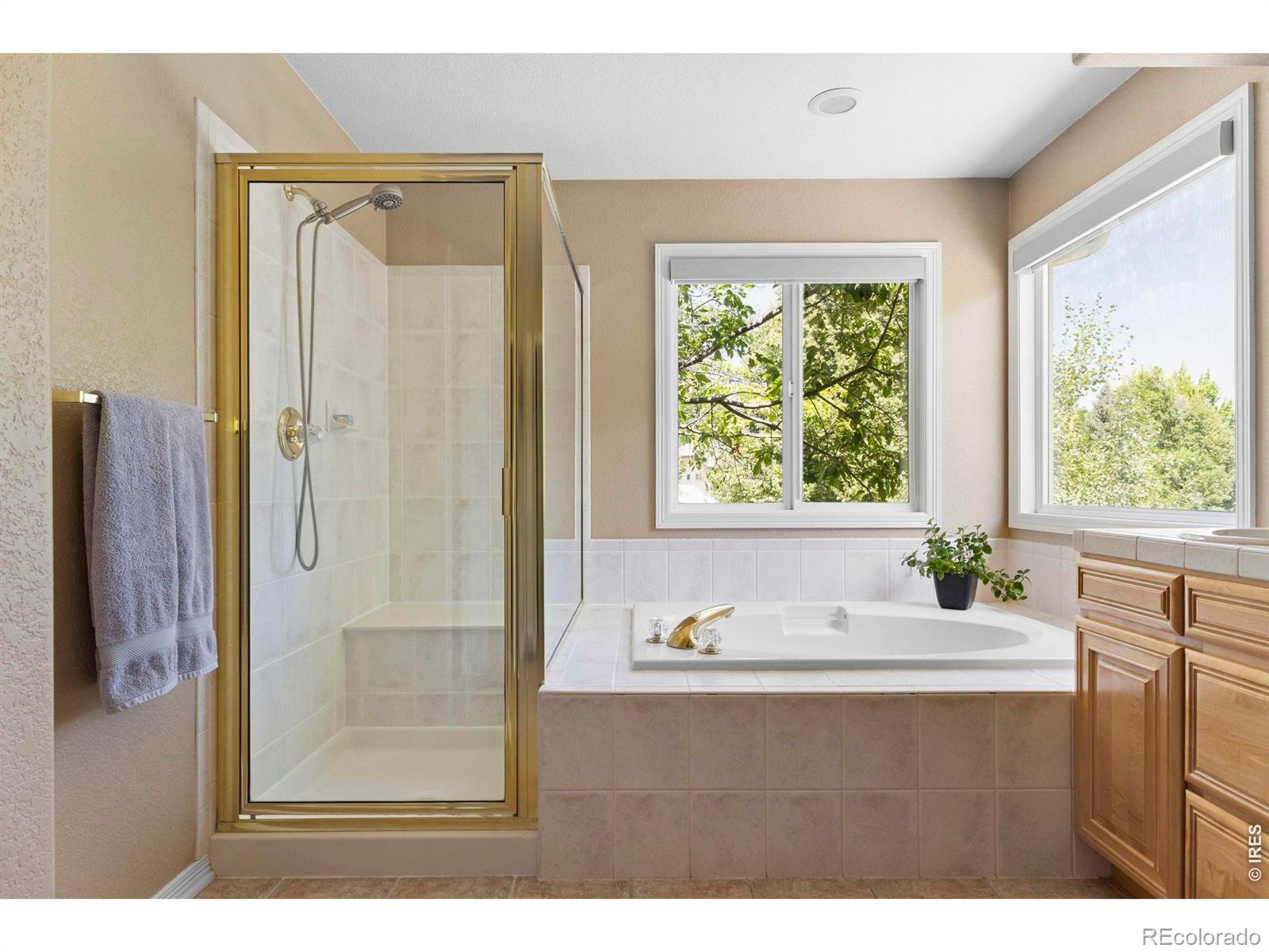 MLS Image #9 for 5627  weeping way,fort collins, Colorado