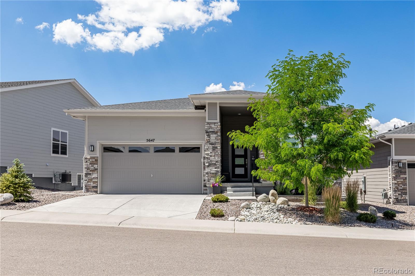 MLS Image #3 for 5647  water avens drive,castle rock, Colorado