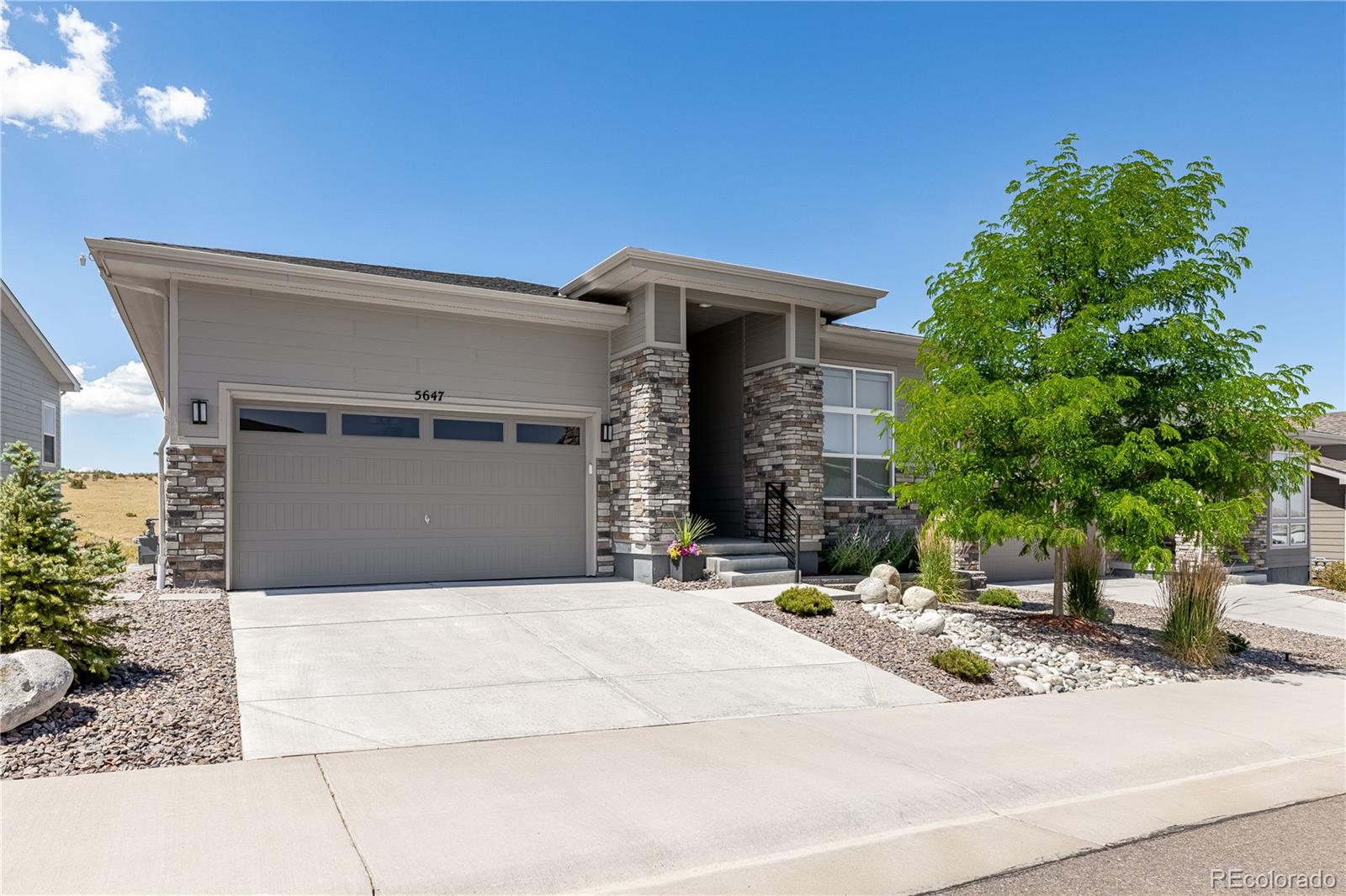 MLS Image #4 for 5647  water avens drive,castle rock, Colorado