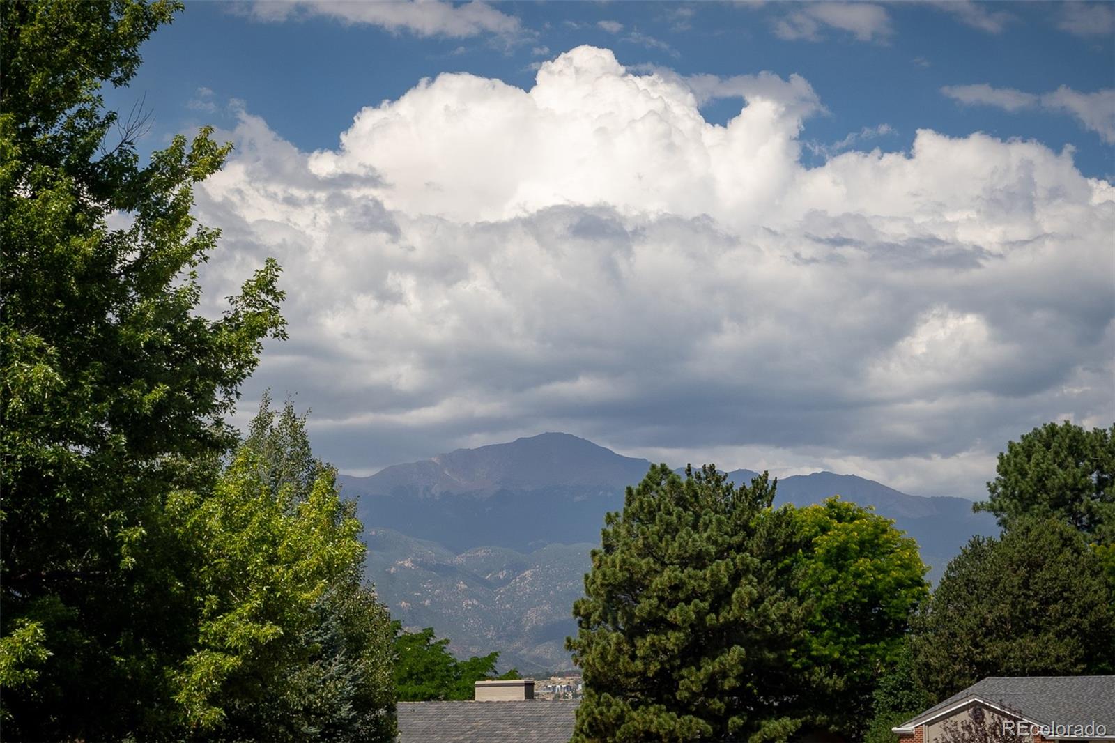 MLS Image #43 for 3135  lees lane,colorado springs, Colorado