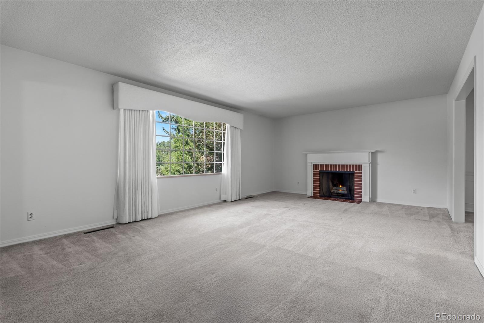 MLS Image #6 for 3135  lees lane,colorado springs, Colorado