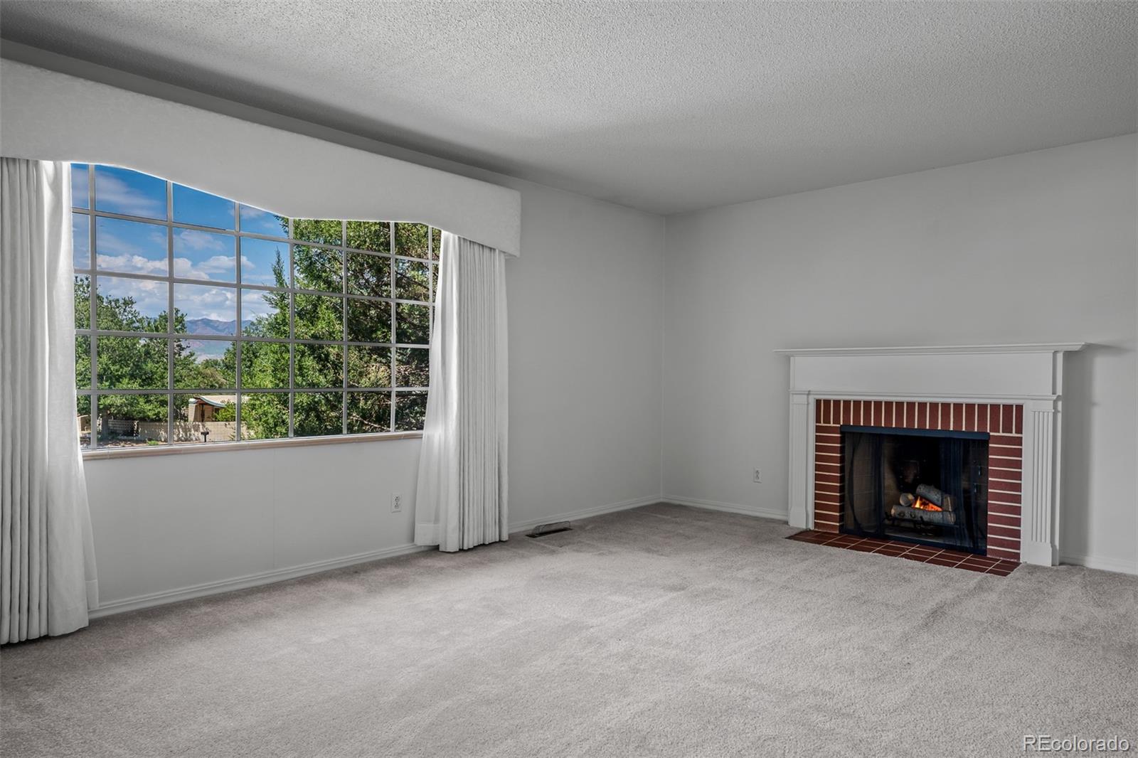 MLS Image #7 for 3135  lees lane,colorado springs, Colorado