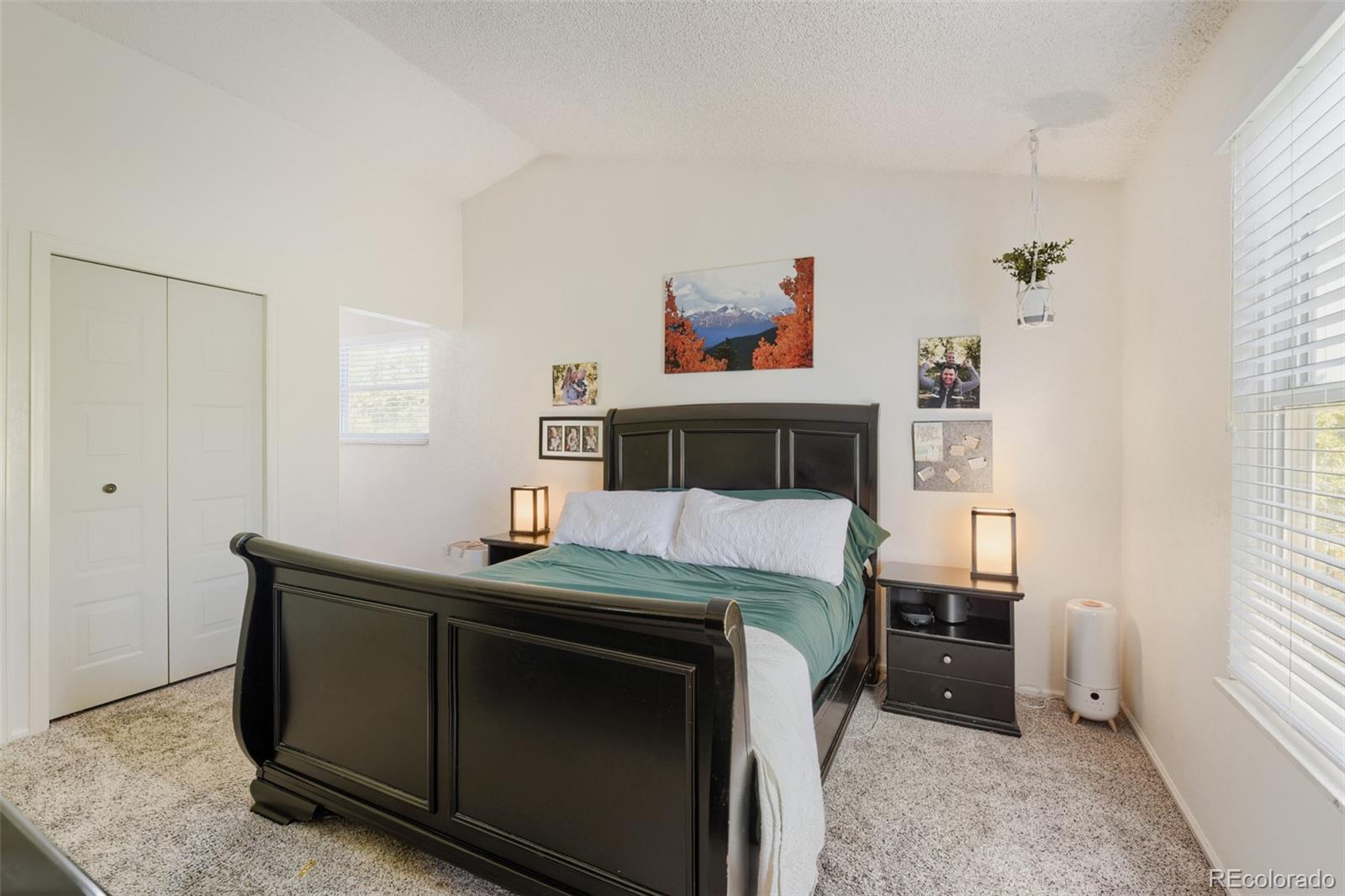 MLS Image #14 for 7354 s sheephorn mountain,littleton, Colorado