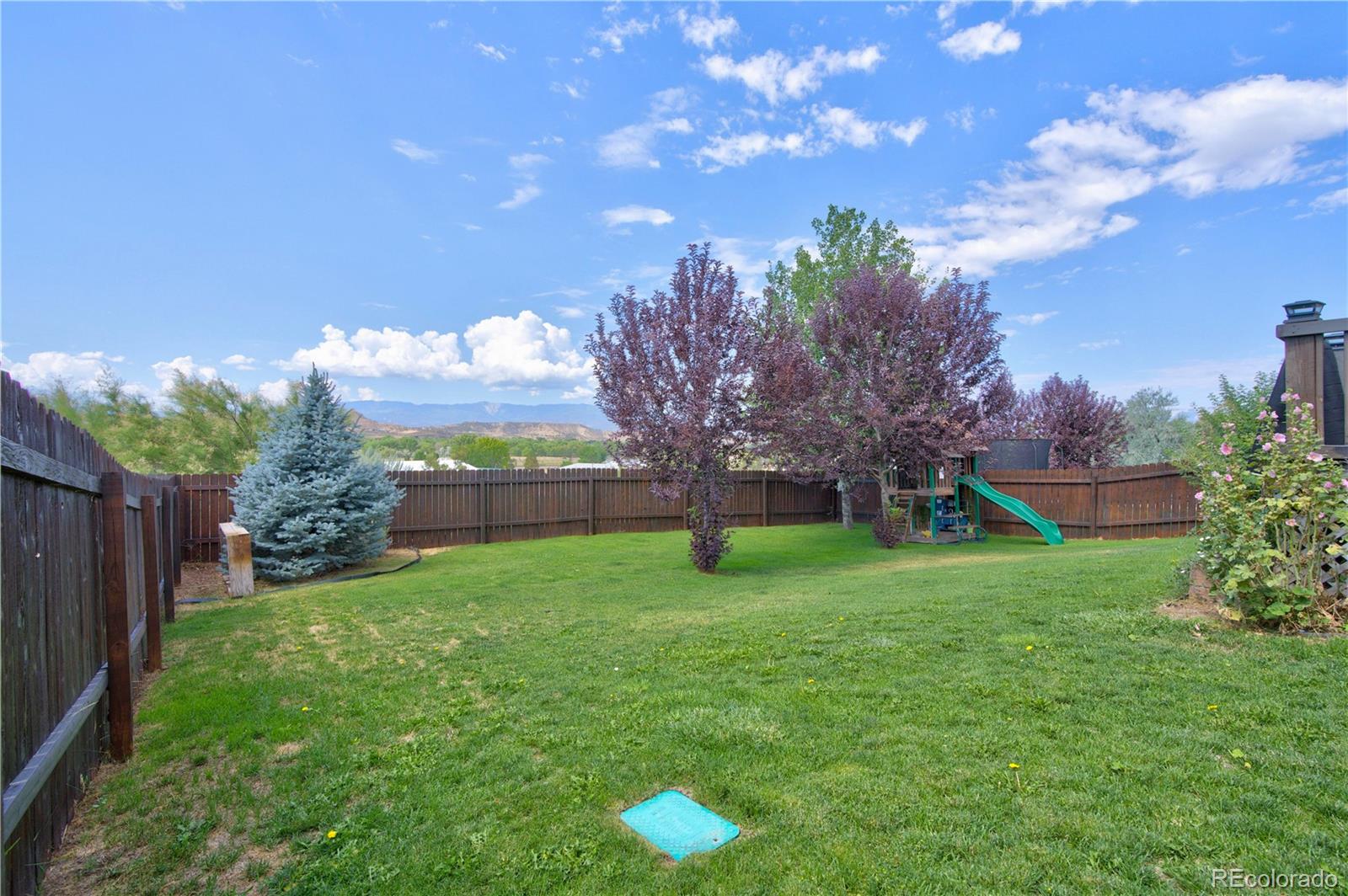 MLS Image #26 for 2171 w sabino lane,silt, Colorado