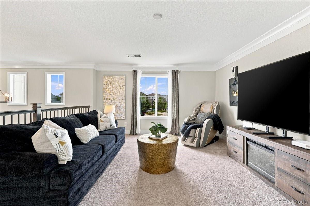 MLS Image #24 for 16601  buffalo run drive,commerce city, Colorado
