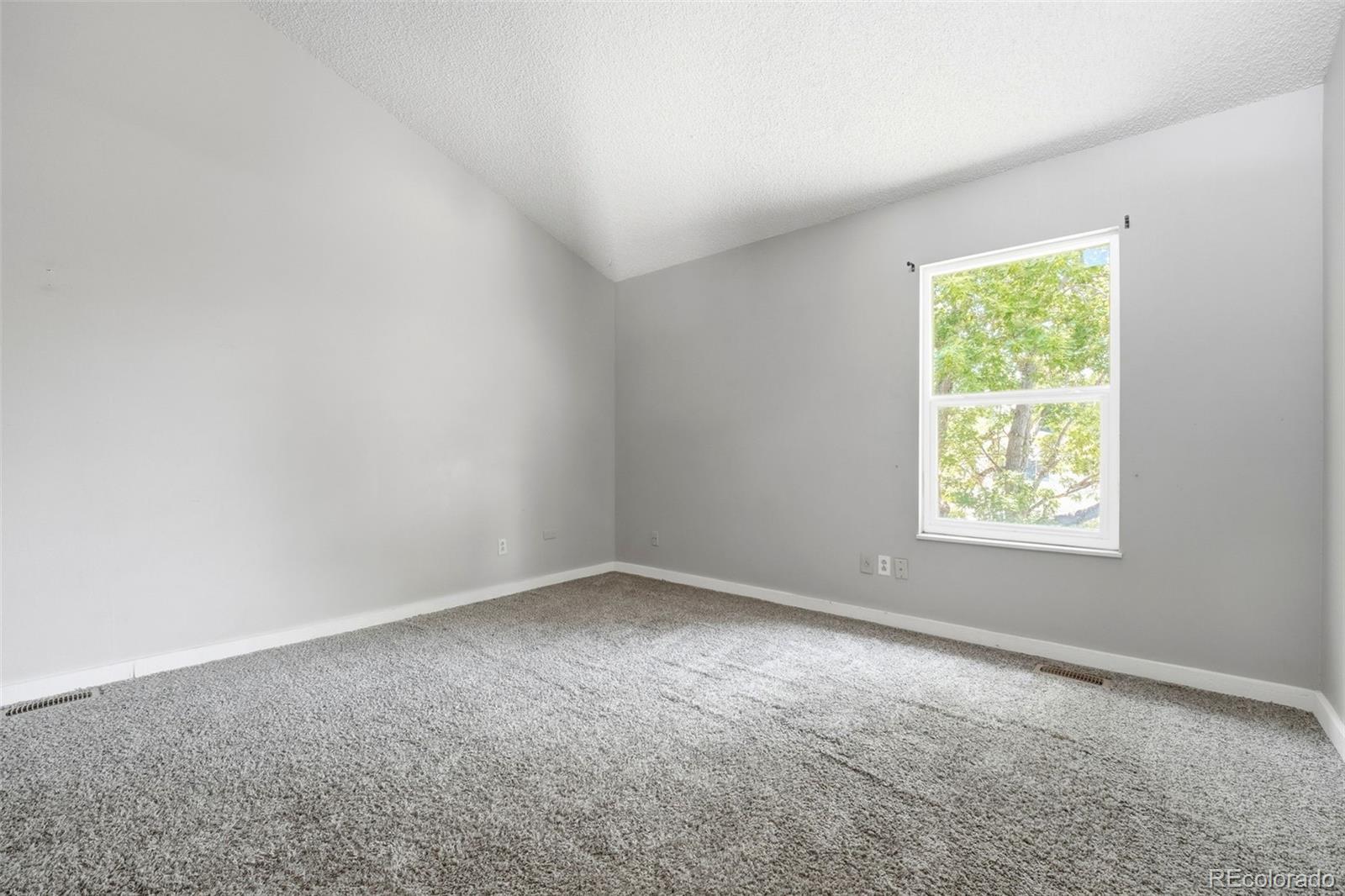 MLS Image #30 for 5945  del paz drive,colorado springs, Colorado