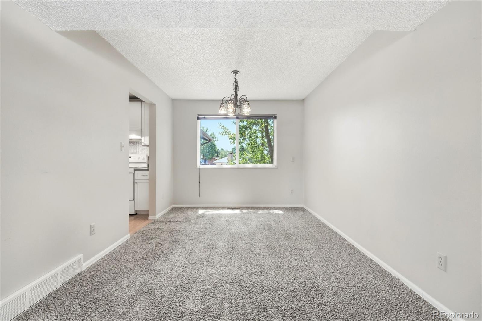 MLS Image #9 for 5945  del paz drive,colorado springs, Colorado