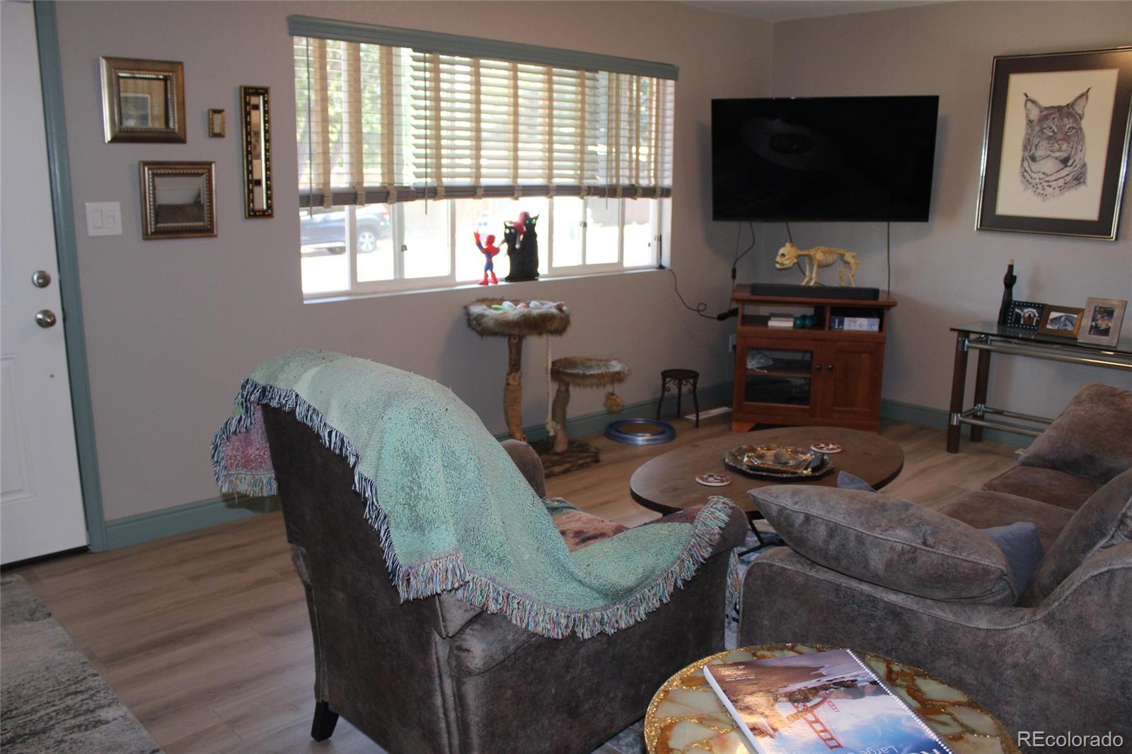 MLS Image #4 for 3841  fetlock circle,colorado springs, Colorado