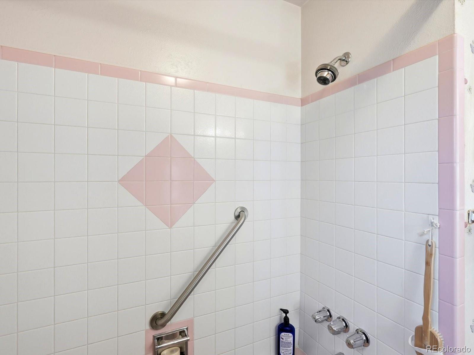 MLS Image #13 for 1855 s ammons street,denver, Colorado