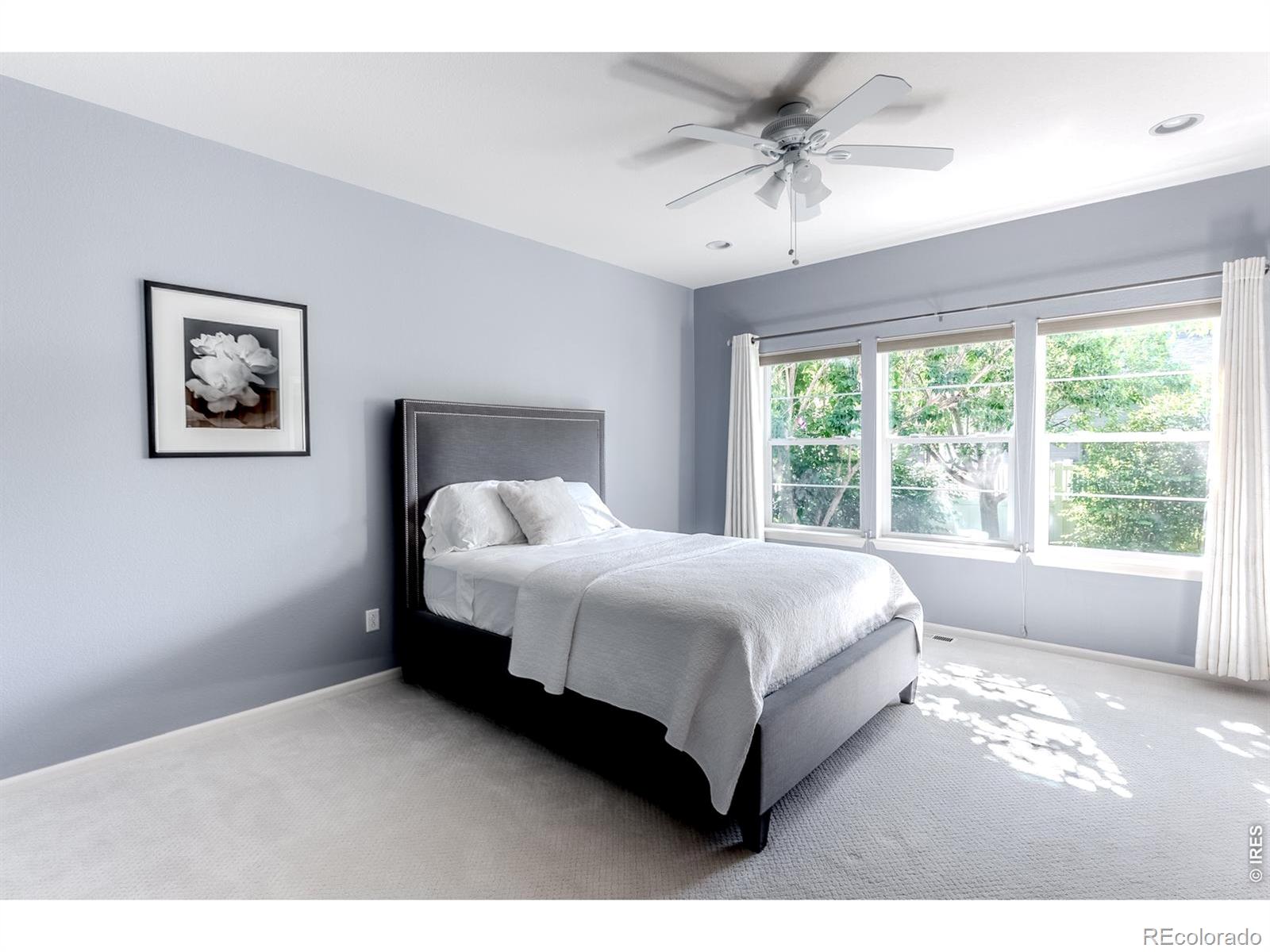 MLS Image #15 for 1370  armstrong drive,longmont, Colorado