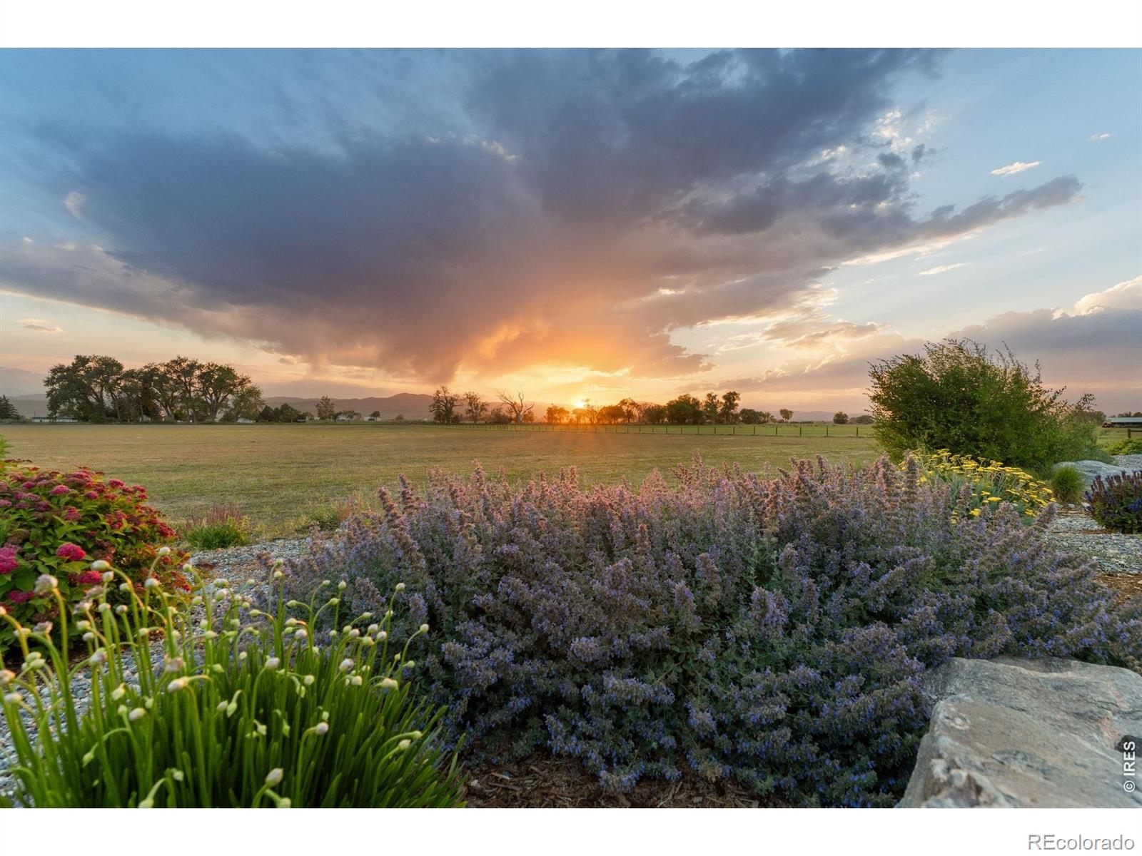 MLS Image #46 for 523  nesting eagles way,berthoud, Colorado