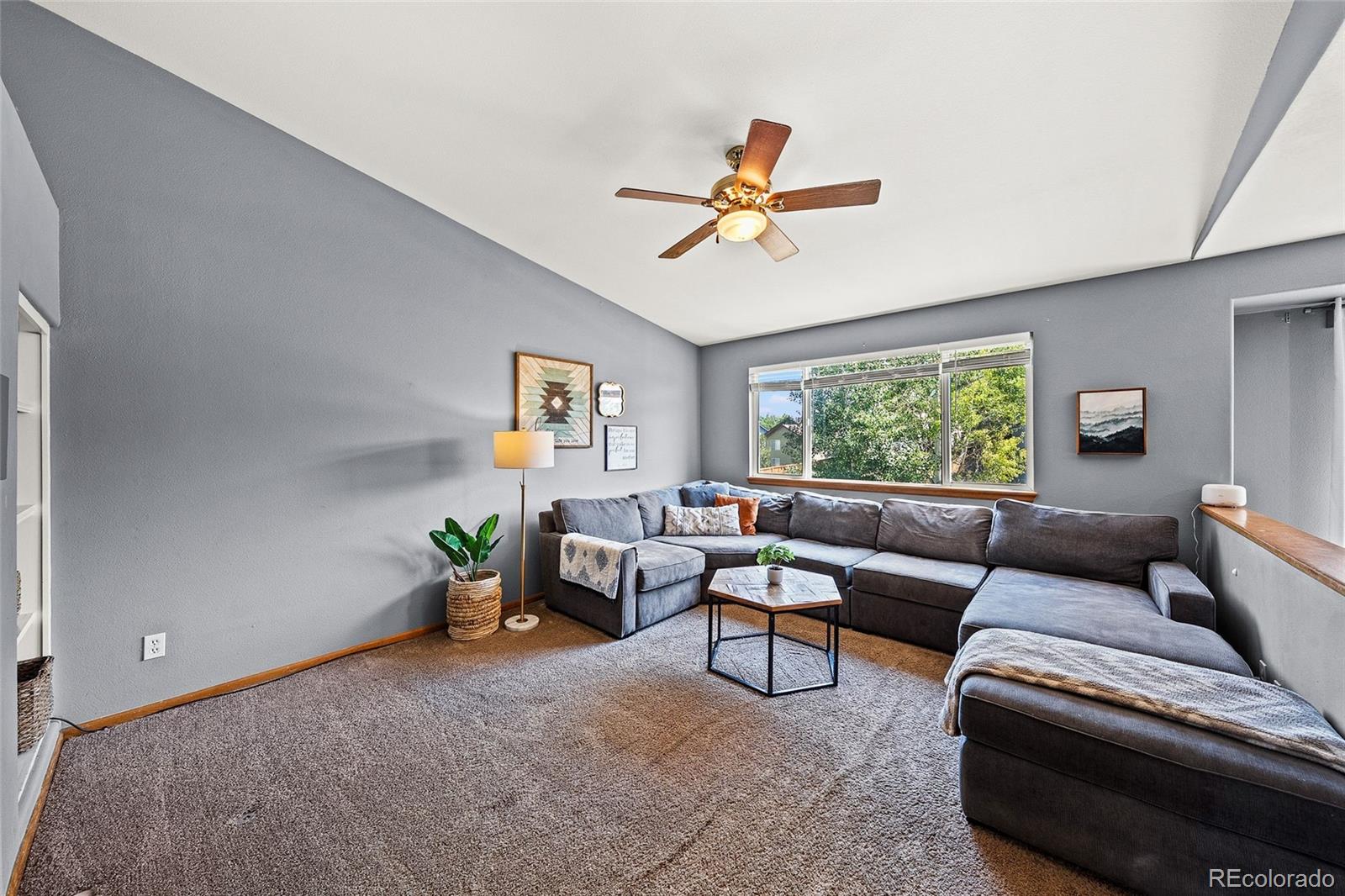 MLS Image #14 for 3519  morning glory drive,castle rock, Colorado