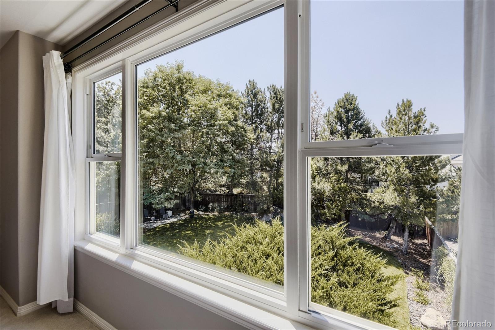 MLS Image #21 for 9153  princeton street,highlands ranch, Colorado