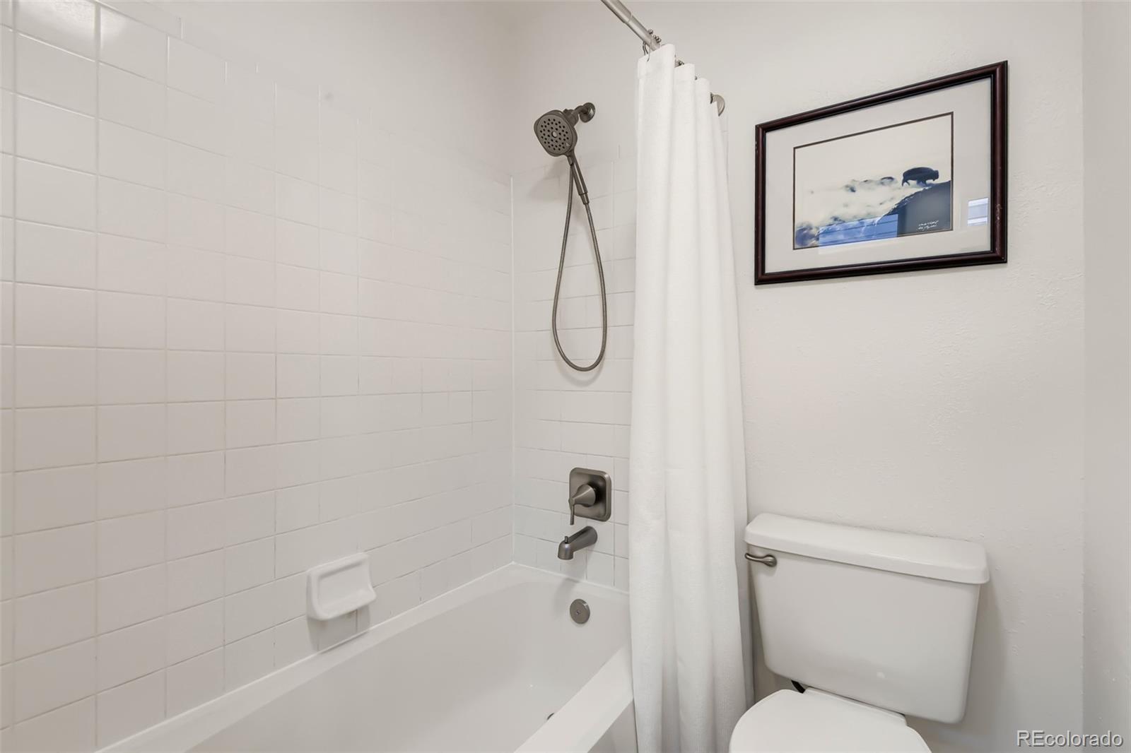 MLS Image #27 for 9153  princeton street,highlands ranch, Colorado