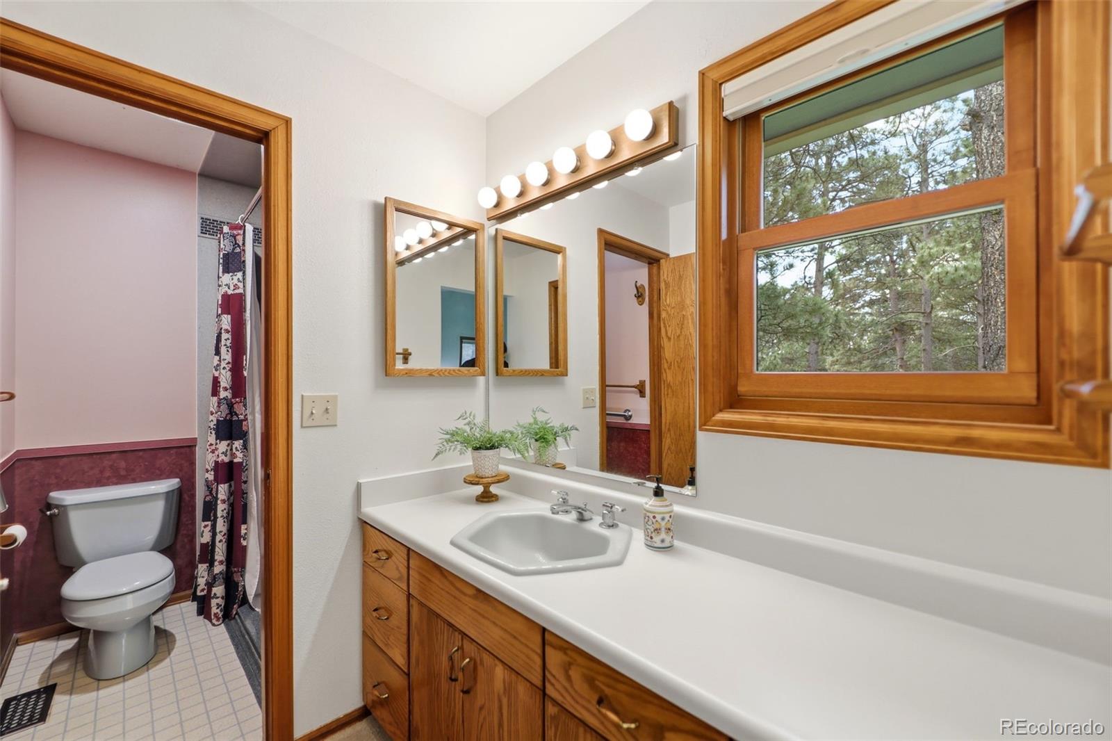 MLS Image #20 for 14355  rankin road,elbert, Colorado