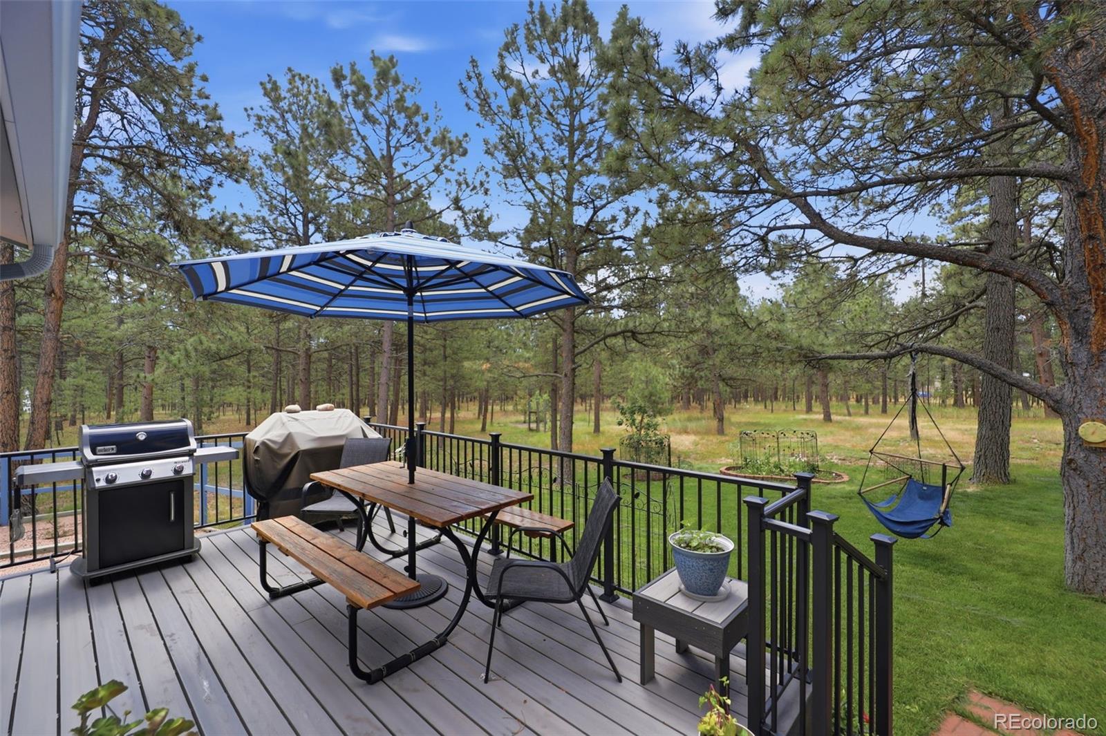 MLS Image #39 for 14355  rankin road,elbert, Colorado