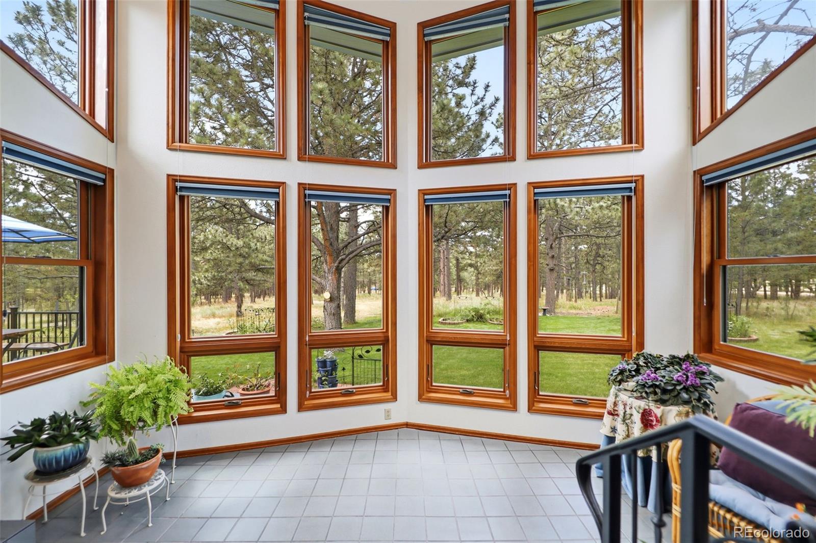 MLS Image #5 for 14355  rankin road,elbert, Colorado