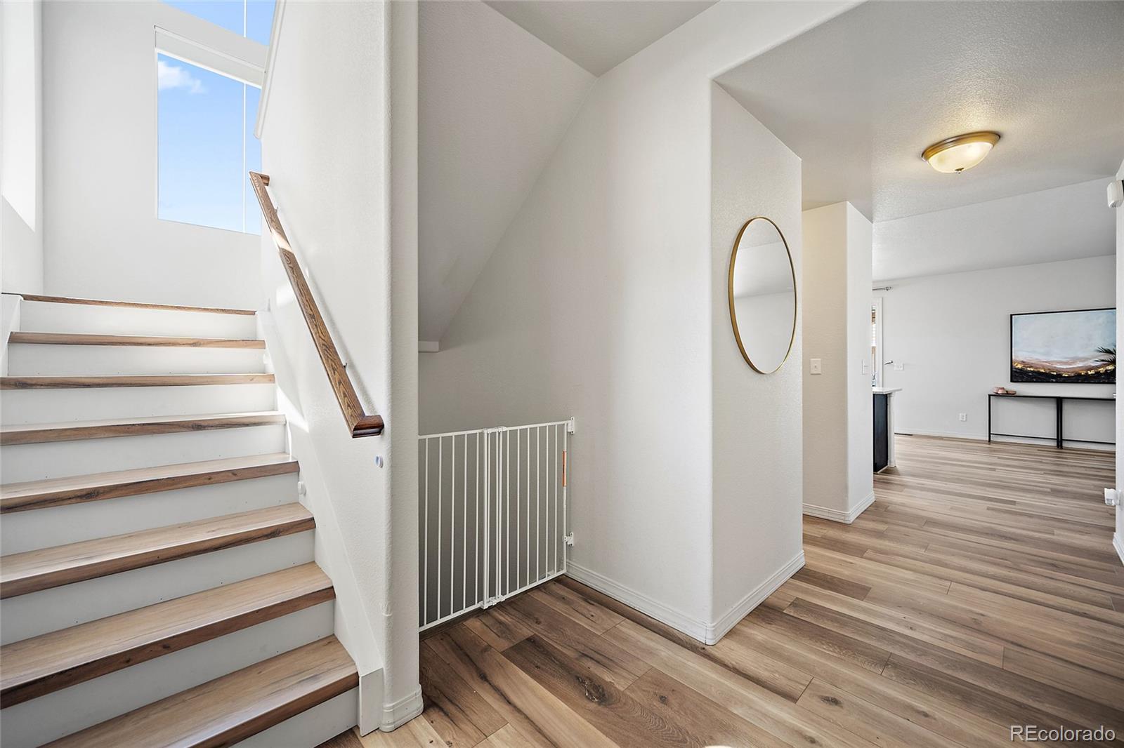 MLS Image #1 for 8428  creek brush drive,colorado springs, Colorado