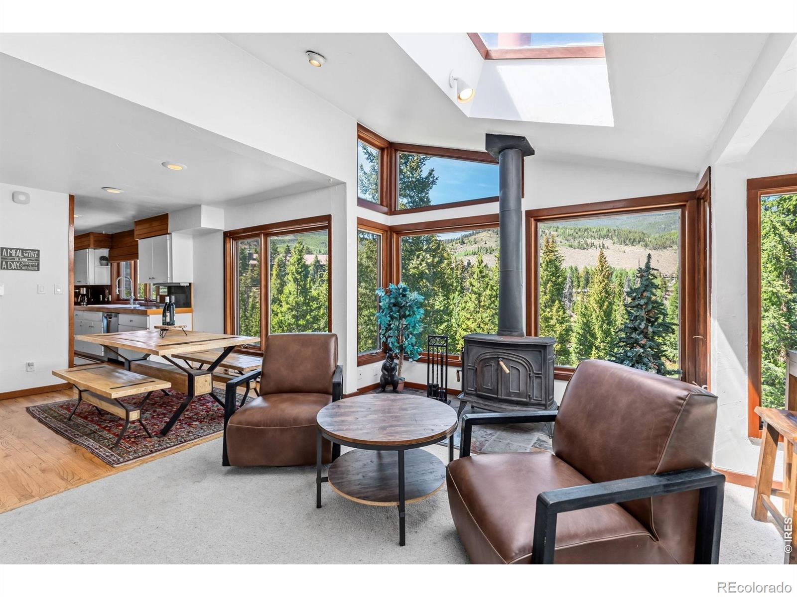 MLS Image #15 for 93  last chance lane,keystone, Colorado