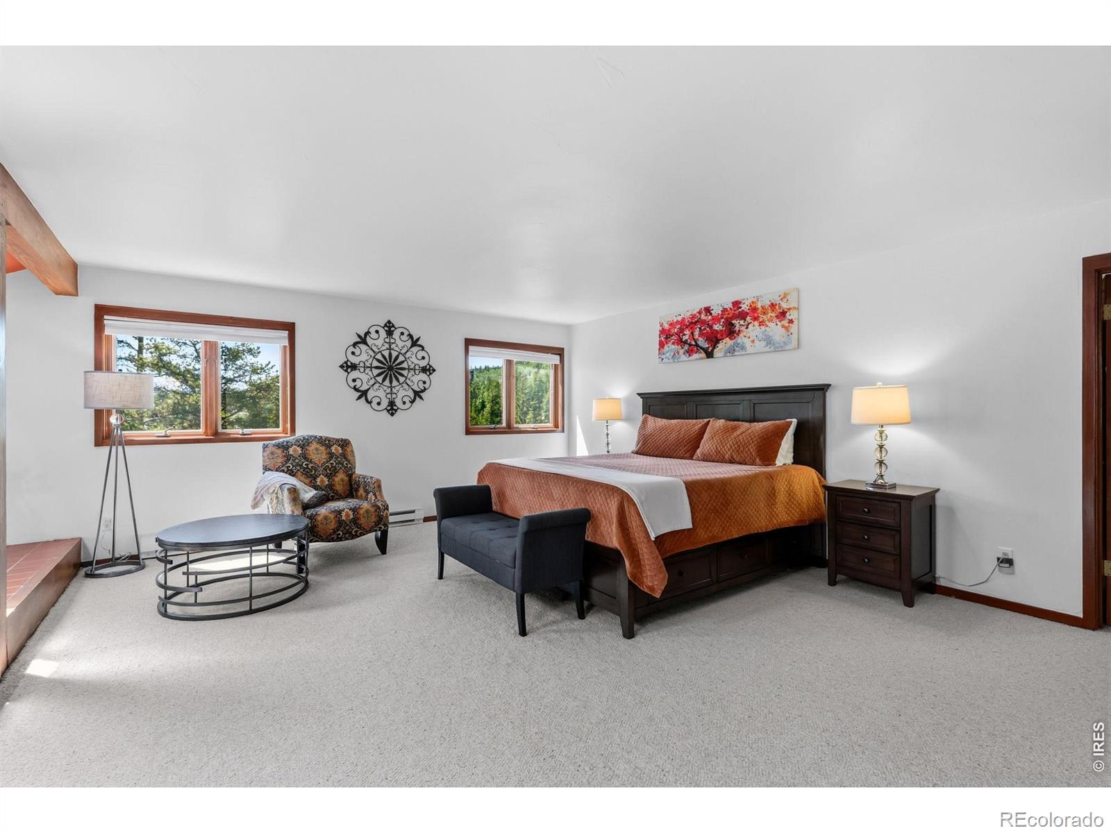 MLS Image #19 for 93  last chance lane,keystone, Colorado