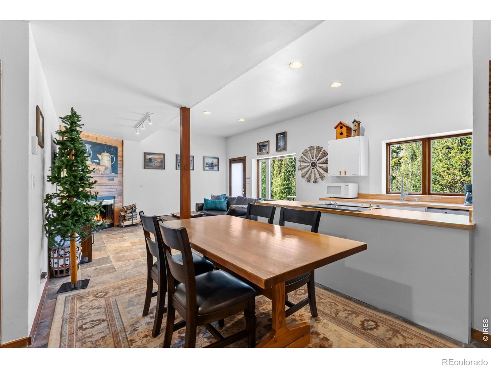 MLS Image #29 for 93  last chance lane,keystone, Colorado