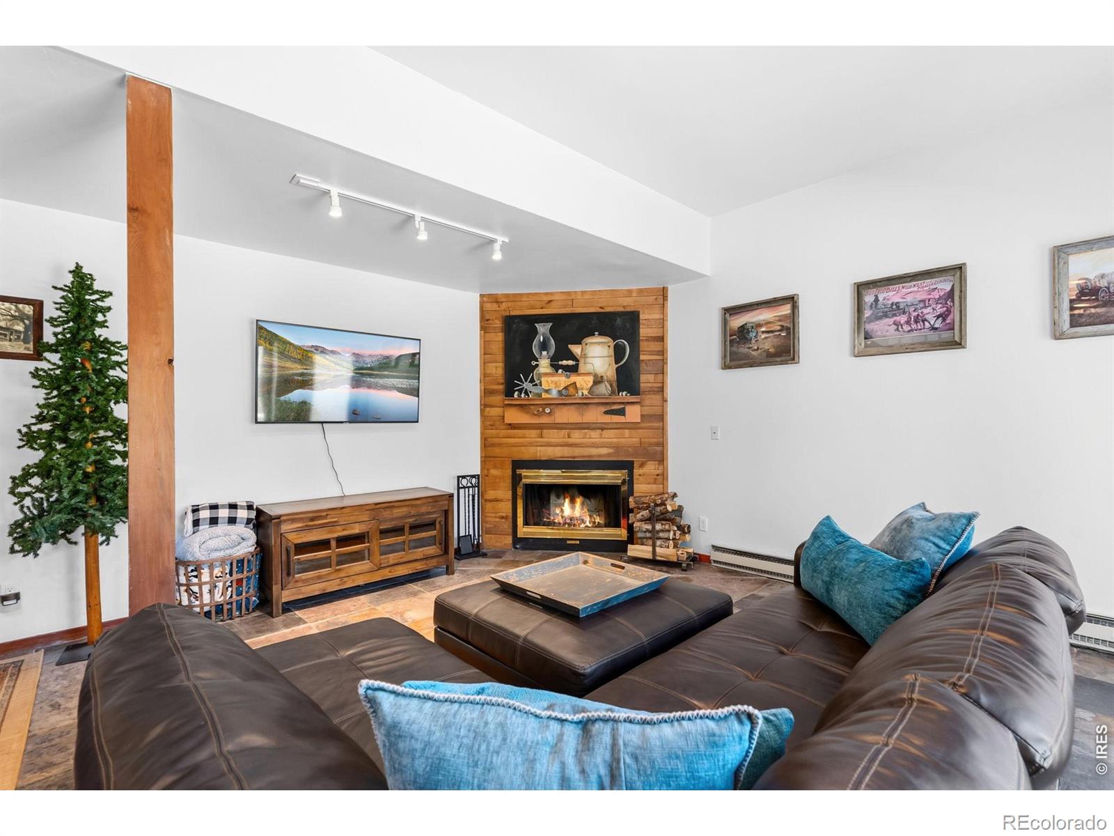MLS Image #33 for 93  last chance lane,keystone, Colorado