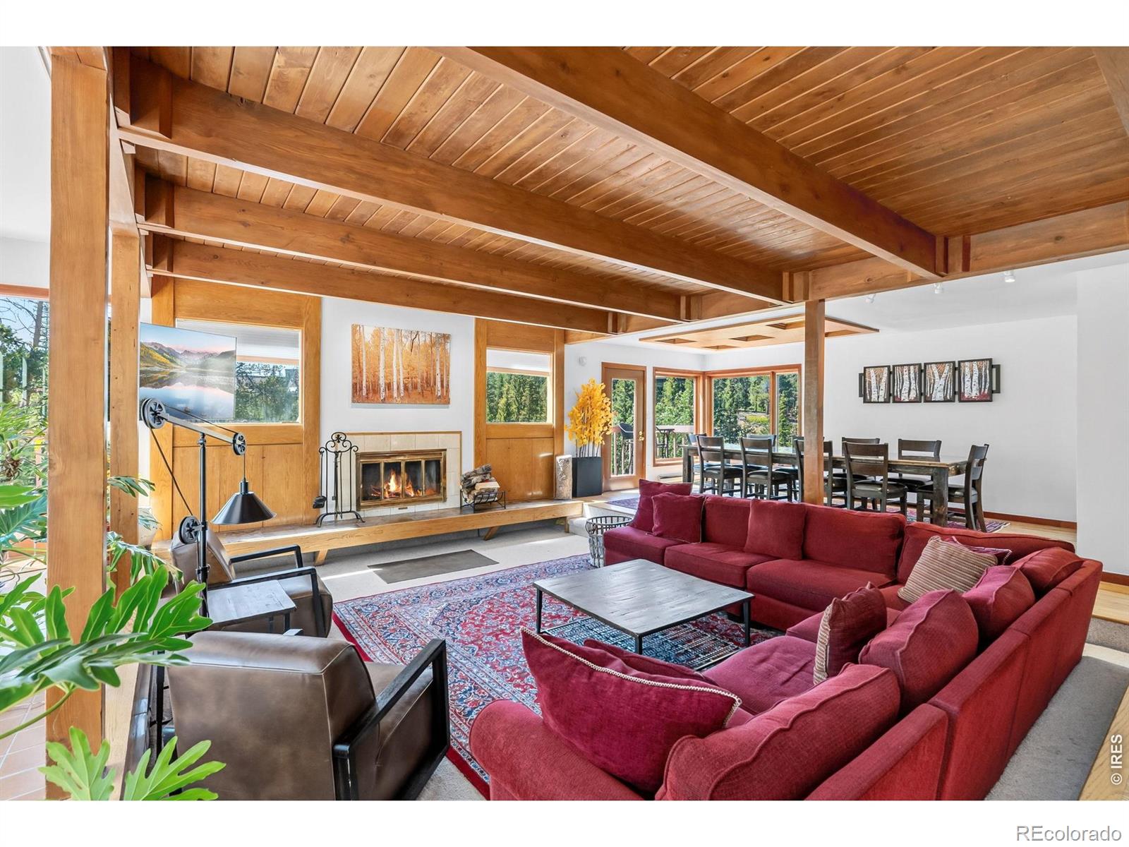 MLS Image #4 for 93  last chance lane,keystone, Colorado